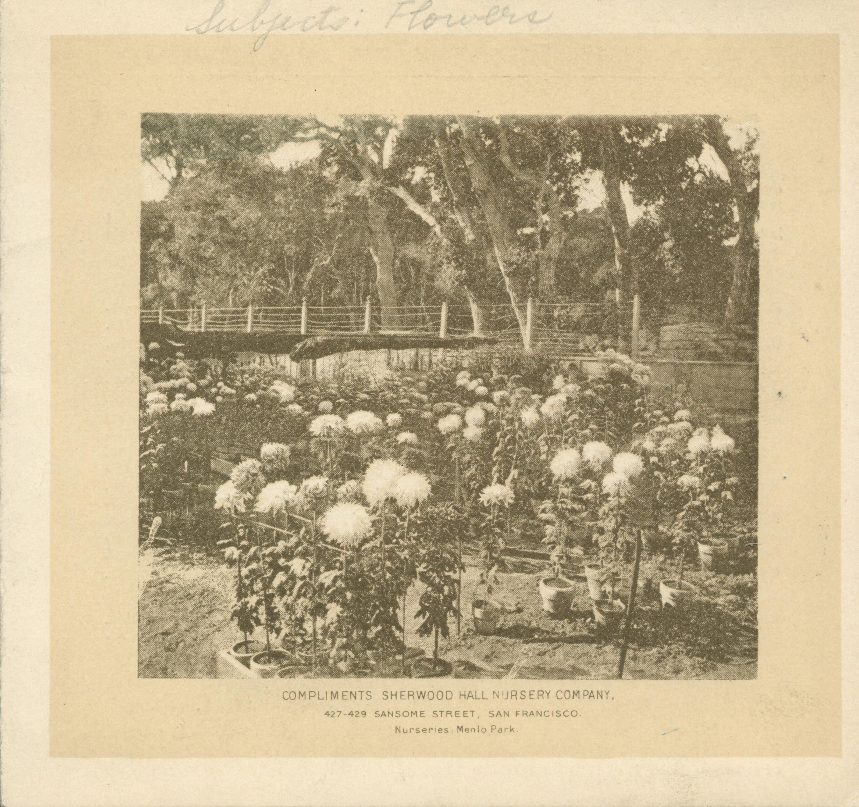 Front cover shows several flowers in full bloom with several trees behind them.